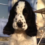 Illustration du profil de Marianick