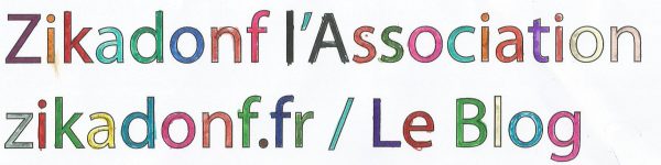 zikadonf_colori